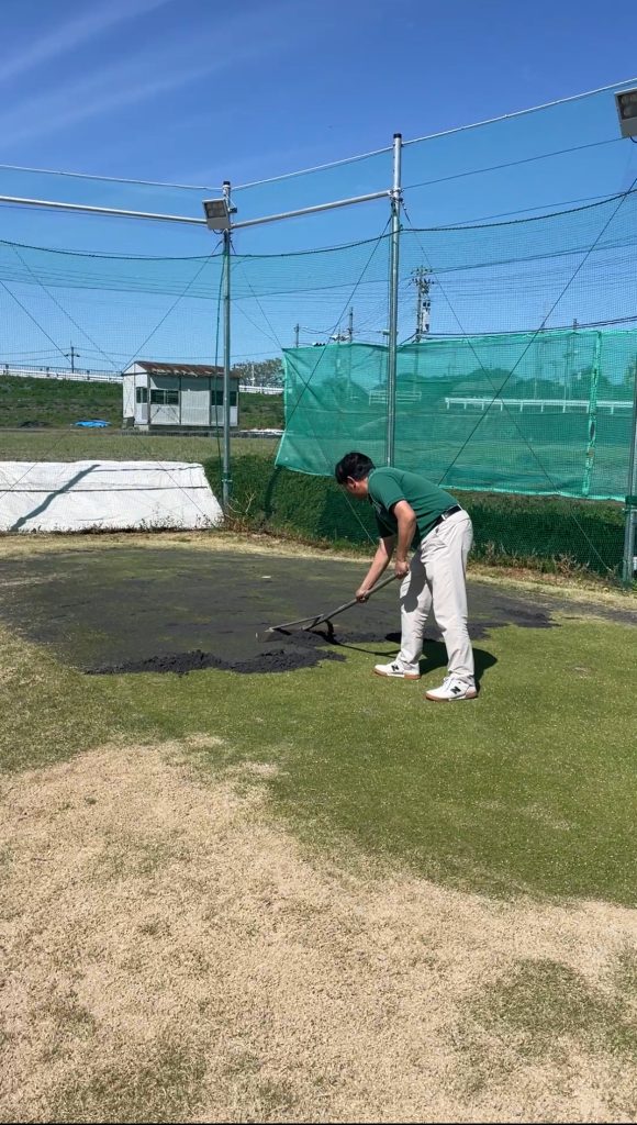 グリーンお手入れ中